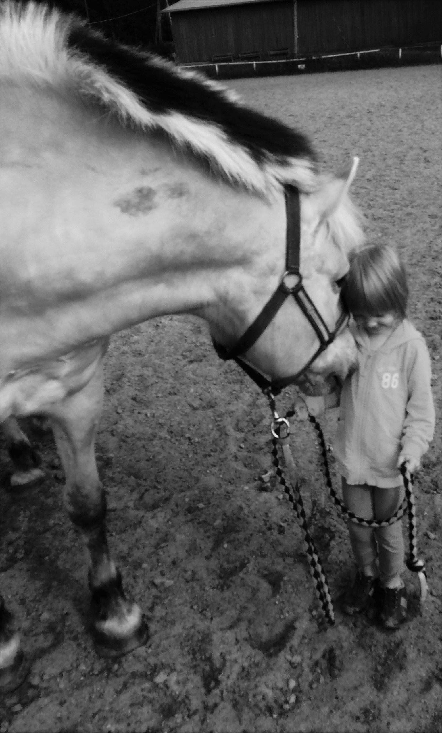 IMG_1546 (Muokattu).JPG