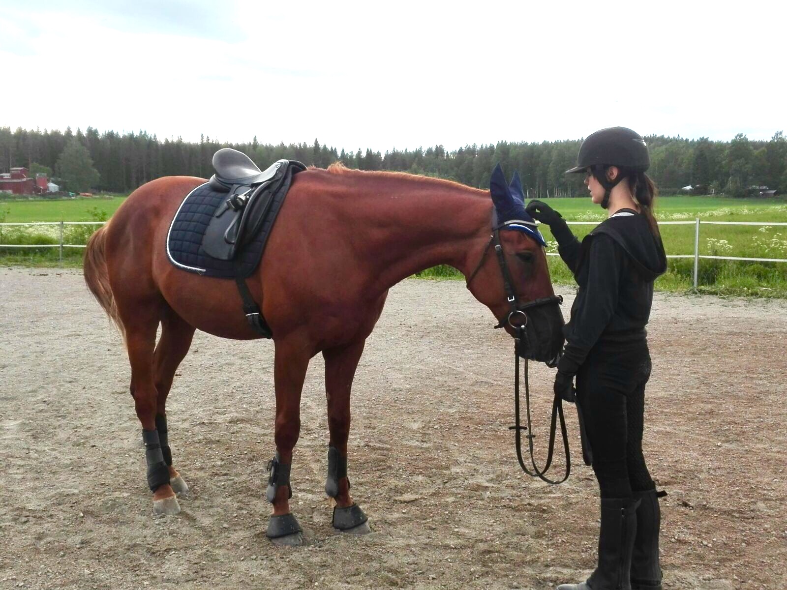 b7f93e26-76aa-4106-89cd-e1e8d27d6447